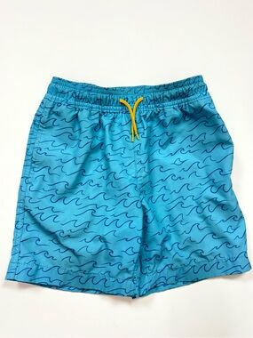 J. Crew Crewcuts Swim Trunks